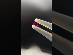 Aangepaste Ruby Lagers Mohs Hardheid 9 voor Precisie Instrumentatie
