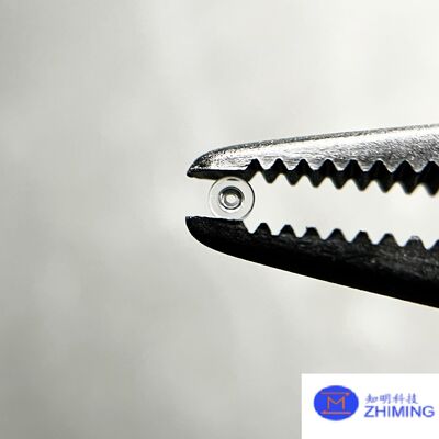 kopen Aanpasbaar 0,15 mm monokristallijn Al2O3 saffierlagers met 9 Mohs hardheid voor precisie horloges en juwelen online vervaardiging